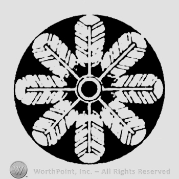 hawk feather, crest, hawk,