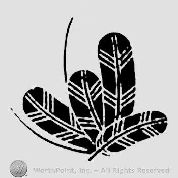 hawk feather, crest, hawk,