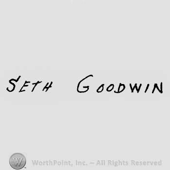 Seth Goodwin written